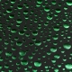 TULLE POIS MG1305