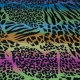 LYCRA CIRCUS 2 TIGRE MULTICOLOR