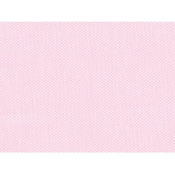 OXFORD CAMICERIA ROSA