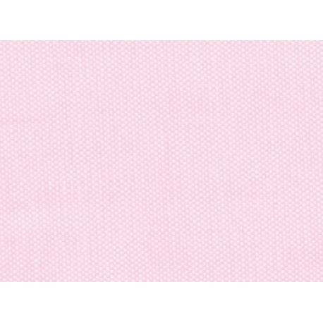 OXFORD CAMICERIA ROSA